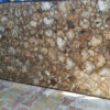 Petrified Wood Stone - Image 2