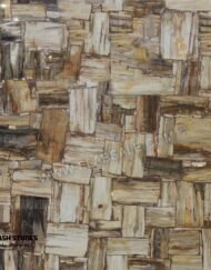 Australian-Petrified-Wood-Stone-retro-1