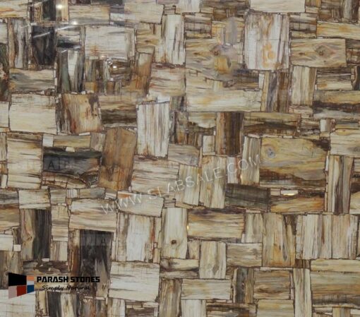 Australian-Petrified-Wood-Stone-retro-1