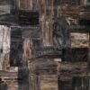 black-petrified-wood-stone-retro