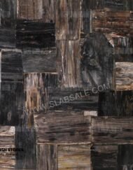 black-petrified-wood-stone-retro