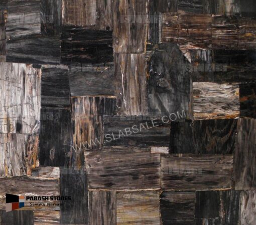 black-petrified-wood-stone-retro